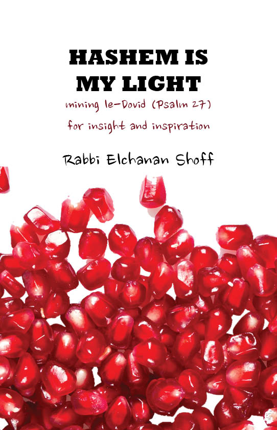 Hashem Is My Light: Mining le - Dovid (Psalm 27) for Insight and Inspiration - Book - Rabbi Elchanan Shoff