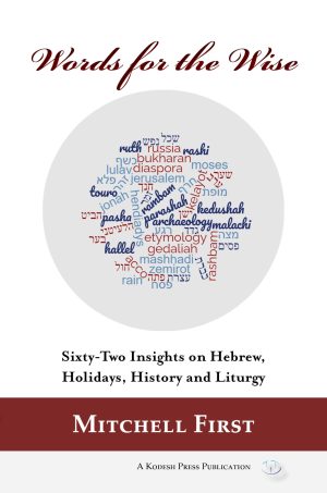 Words for the Wise: Sixty-Two Insights on Hebrew,  Holidays, History and Liturgy